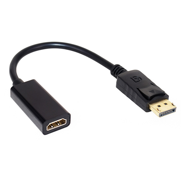 DP2HD100 DisplayPort to HDMI Video Adapter Converter