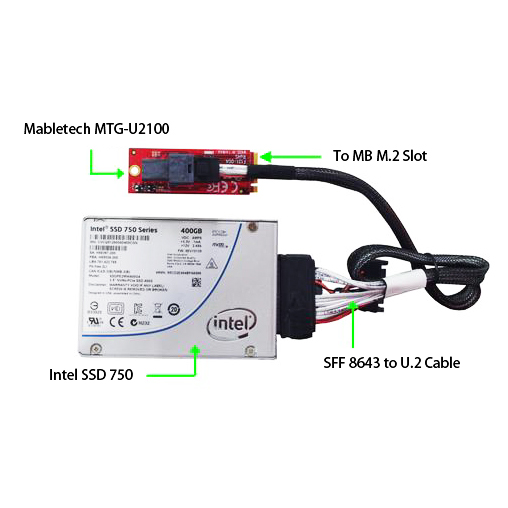 MTG-U2100 M.2 Module with miniSAS to U.2 NVMe SSD