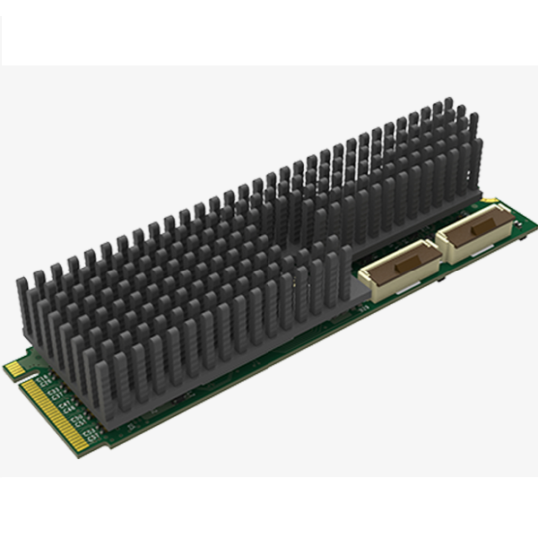 Eco Capture Dual HDMI M.2